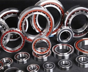 Double Row Angular Contact Ball Bearing