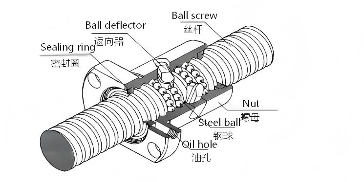 滚珠丝杆结构.png 滚珠丝杆结构.png